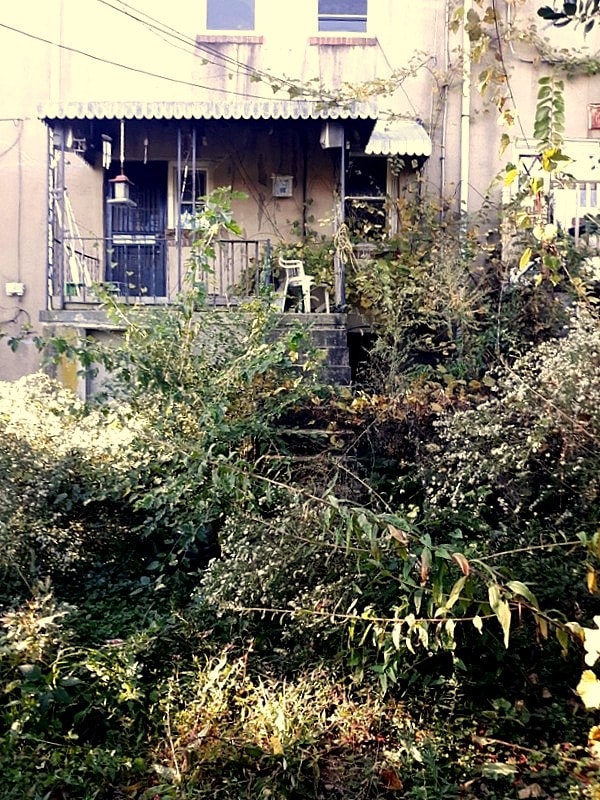 4921 Edgemere Avenue rear elevation before rehabilitation — overgrown rear yard and deteriorated structure